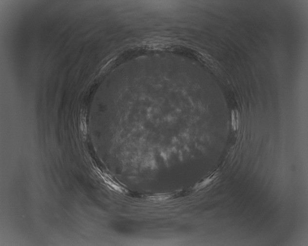 X0000053011155200507081252