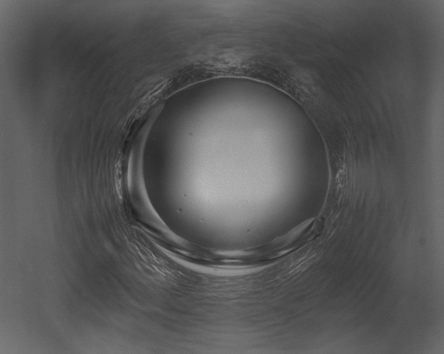 X0000053011156200507081252