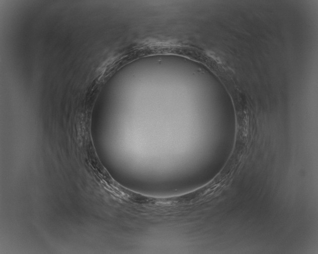 X0000053011157200507081252