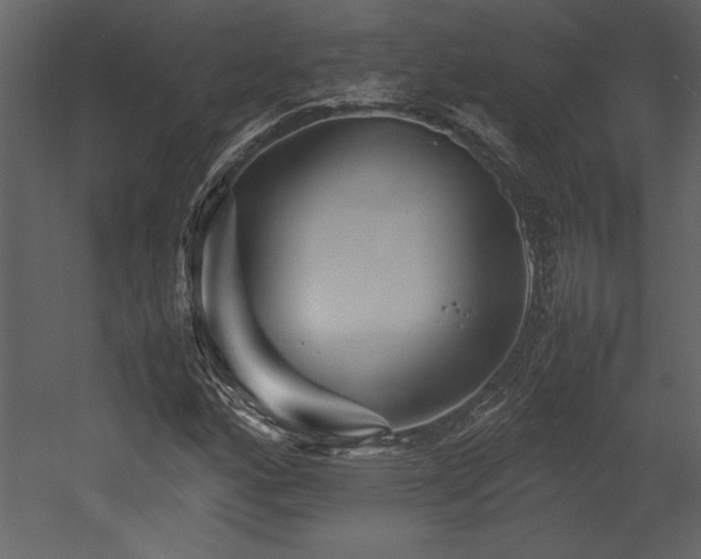 X0000053011160200507081252