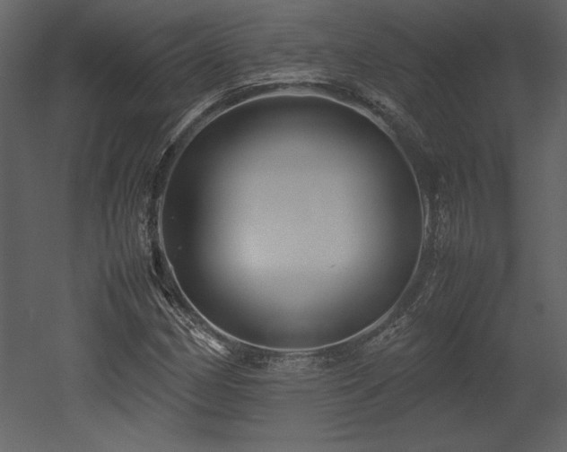 X0000053011162200507081252