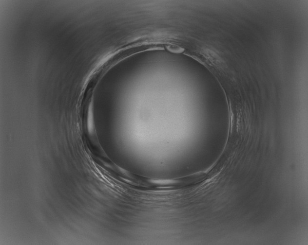 X0000053011164200507081252