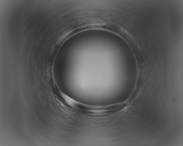 X0000053011169200507081252