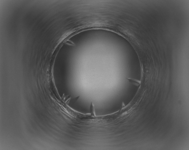 X0000053011170200507081252