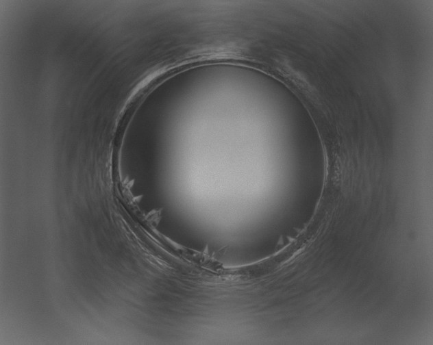X0000053011174200507081252