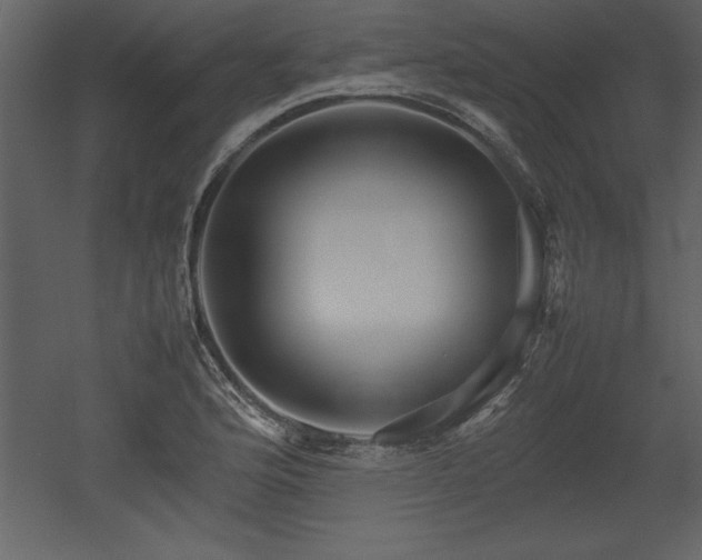 X0000053011176200507081252
