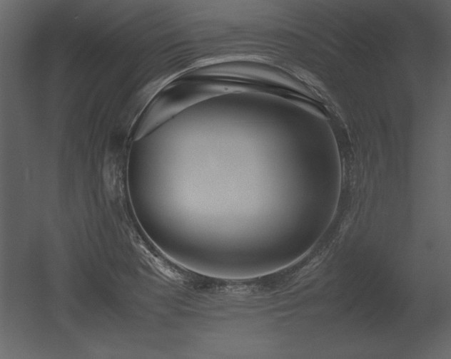 X0000053011177200507081252