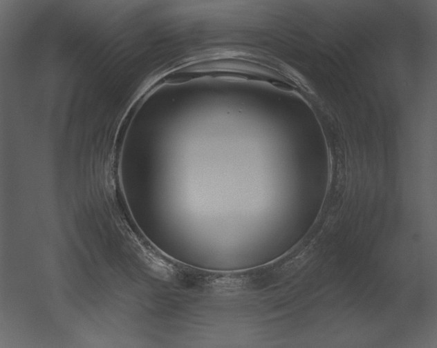 X0000053011178200507081252