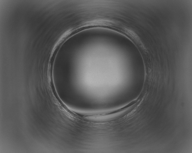 X0000053011180200507081252