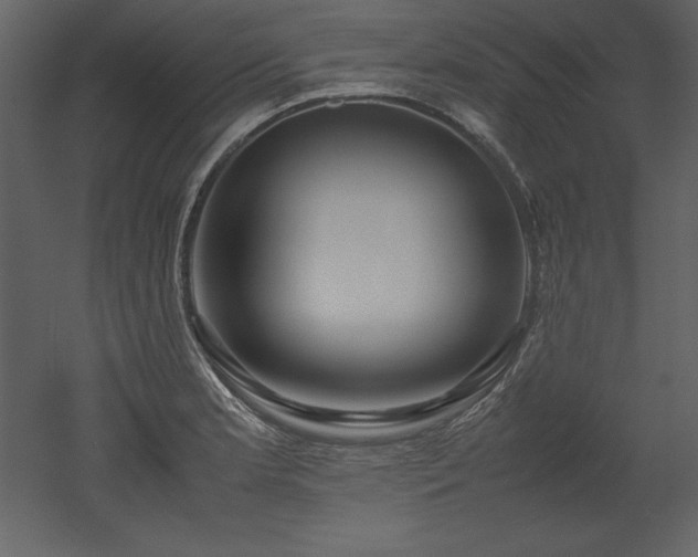 X0000053011181200507081251