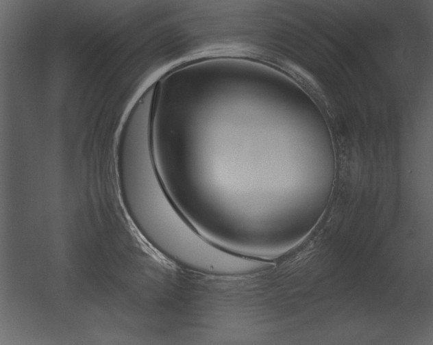 X0000053011192200507081251