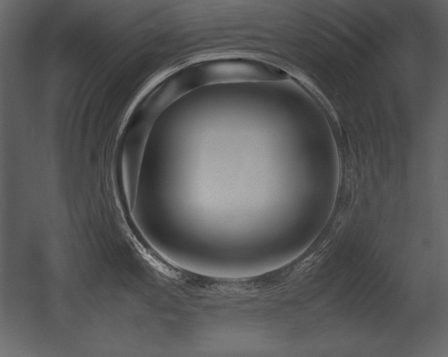 X0000053011197200507081251