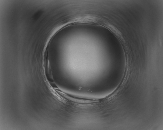 X0000053011200200507081251