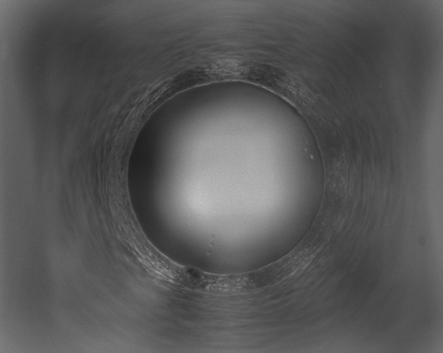 X0000053011201200507081250