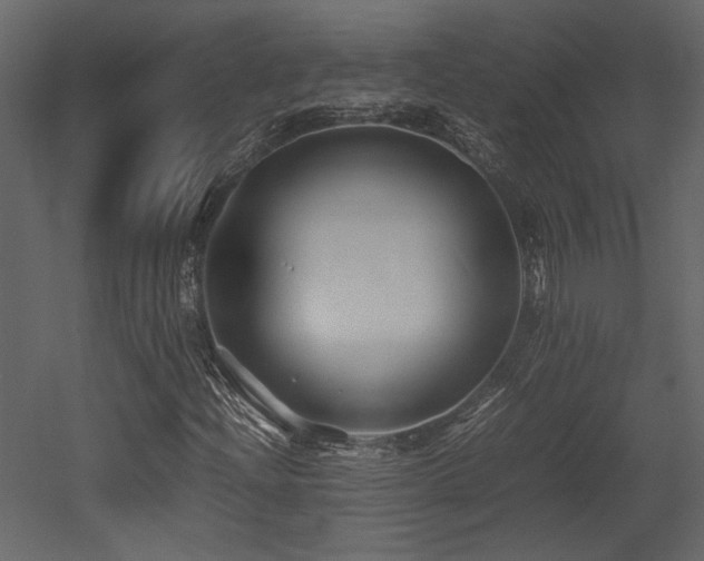 X0000053011204200507081250