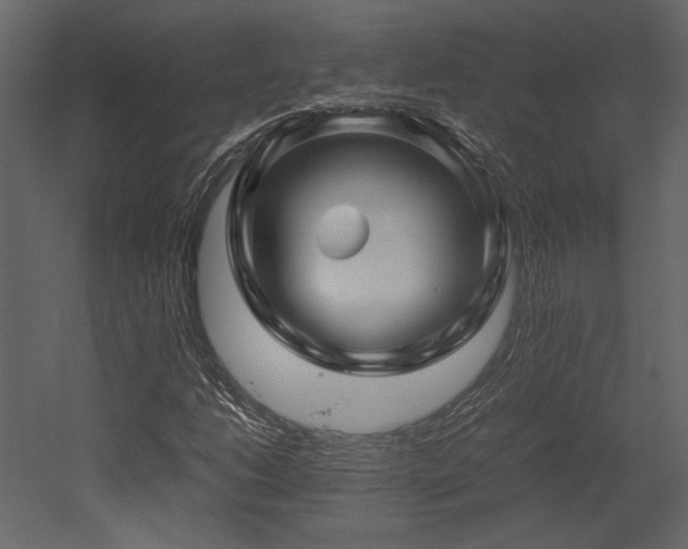 X0000053011206200507081250