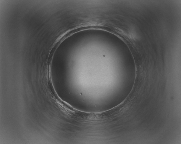 X0000053011220200507081251