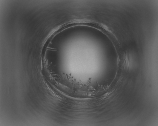 X0000053011221200507081251