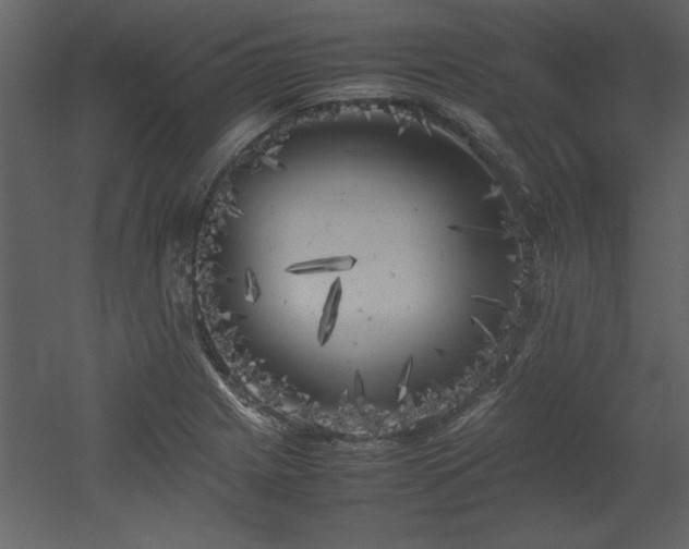 X0000053011225200507081251