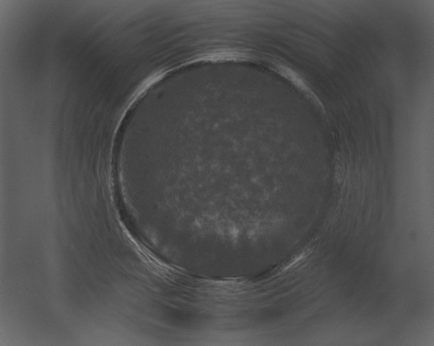 X0000053011229200507081251