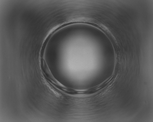 X0000053011230200507081251