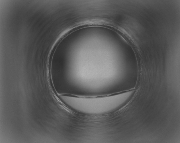 X0000053011232200507081251