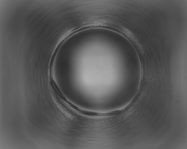 X0000053011234200507081251