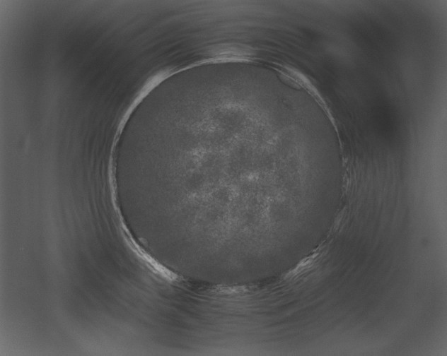 X0000053011243200507081251