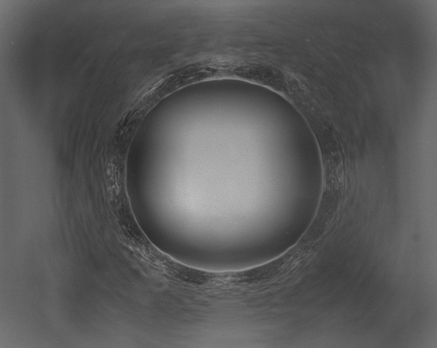 X0000053011253200507081250