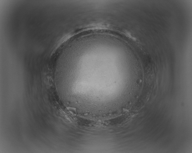 X0000053011255200507081250