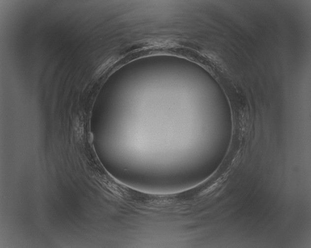 X0000053011257200507081250