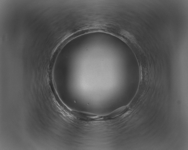 X0000053011260200507081250