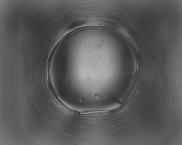X0000053011276200507081250