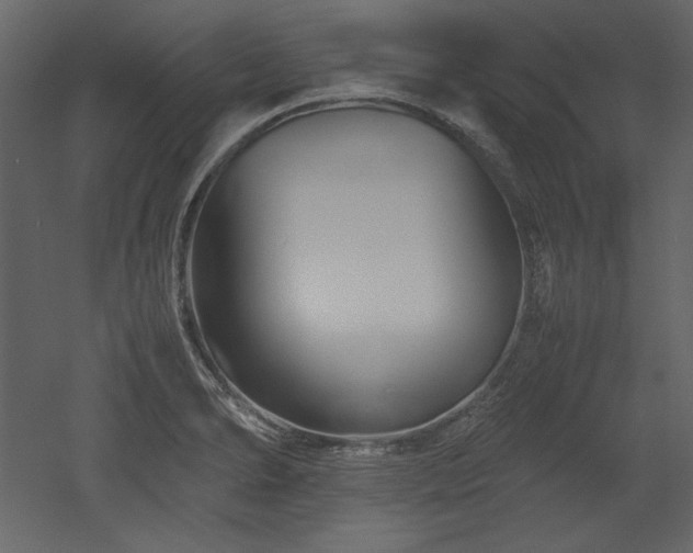 X0000053011278200507081250