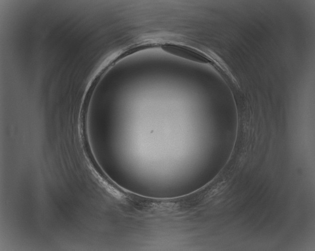 X0000053011285200507081250