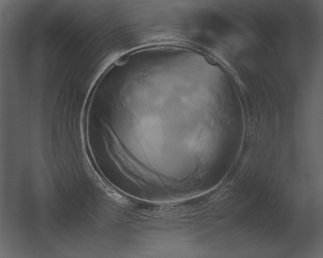 X0000053011291200507081250