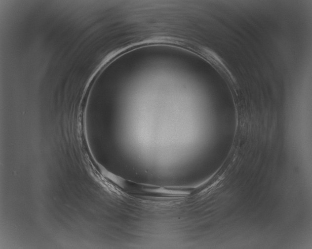 X0000053011292200507081250