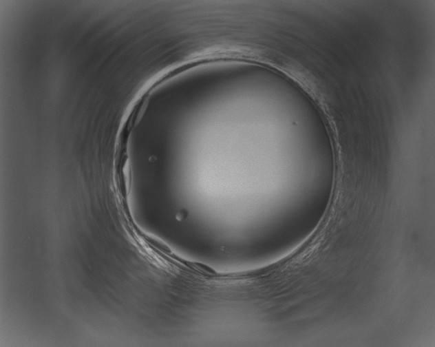 X0000053011296200507081250