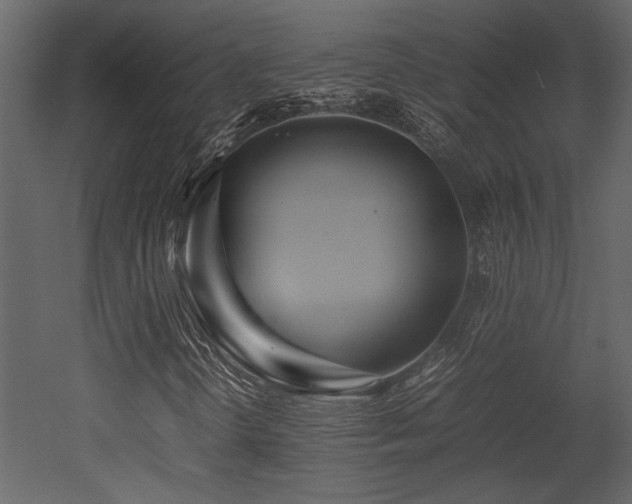 X0000053011298200507081249
