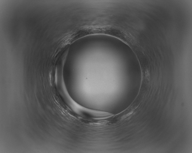X0000053011300200507081249