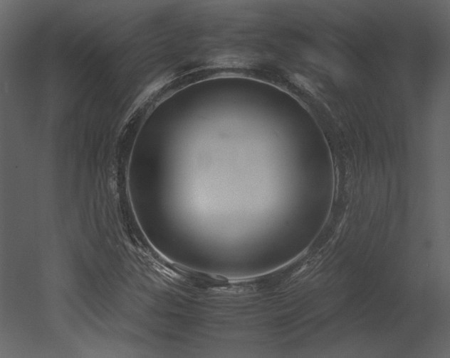 X0000053011307200507081249
