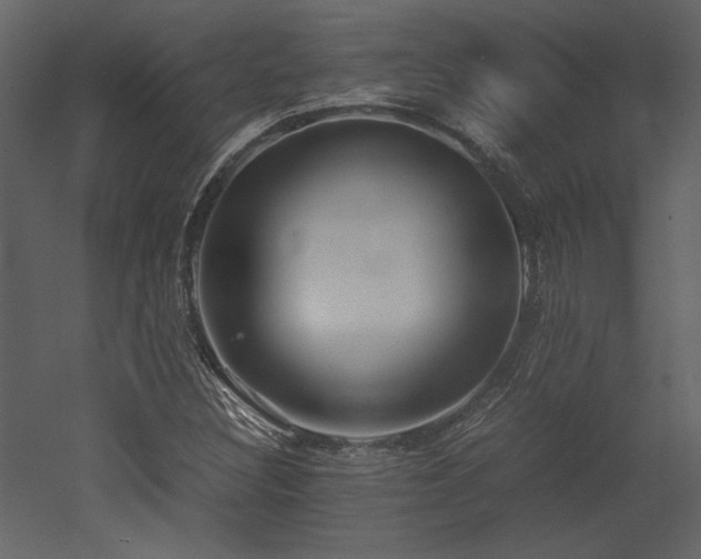X0000053011308200507081249