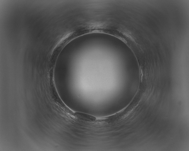 X0000053011309200507081249
