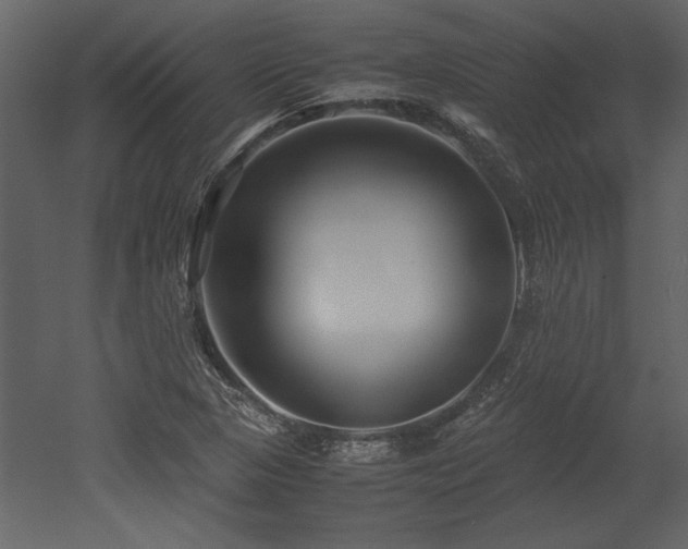 X0000053011313200507081249