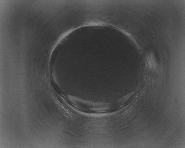 X0000053011319200507081249