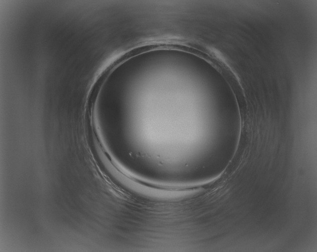 X0000053011320200507081249