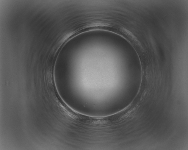 X0000053011321200507081249