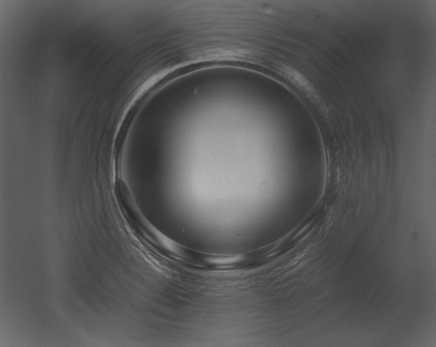 X0000053011324200507081249