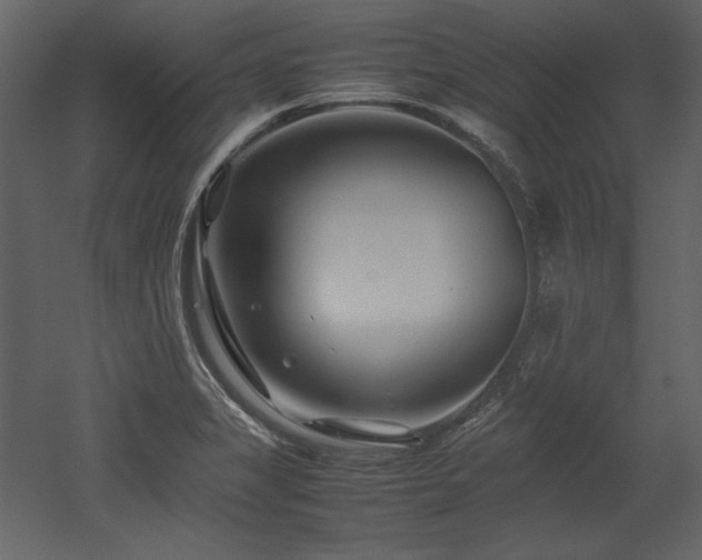 X0000053011325200507081249