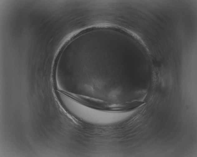X0000053011327200507081249